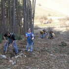 20112308130806-494.jpg